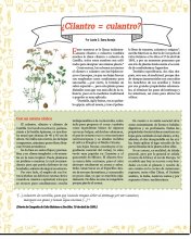 ¿Cilantro = culantro?