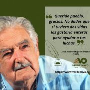   INFOGRAFIA Lía Hernández Pagés