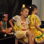 Proyecto cultural colibrí de Villa Clara 